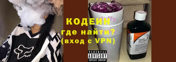 шишки Покачи