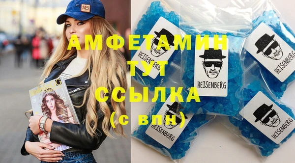 шишки Покачи