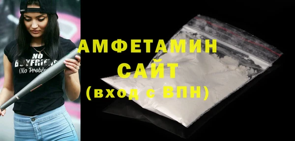 шишки Покачи