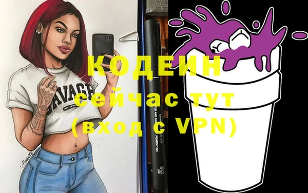 шишки Покачи